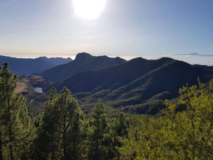 El monte reverdecerá y la tierra está ahora mejor preparada para próximas lluvias con menor riesgo de escorrentías (Foto TA)